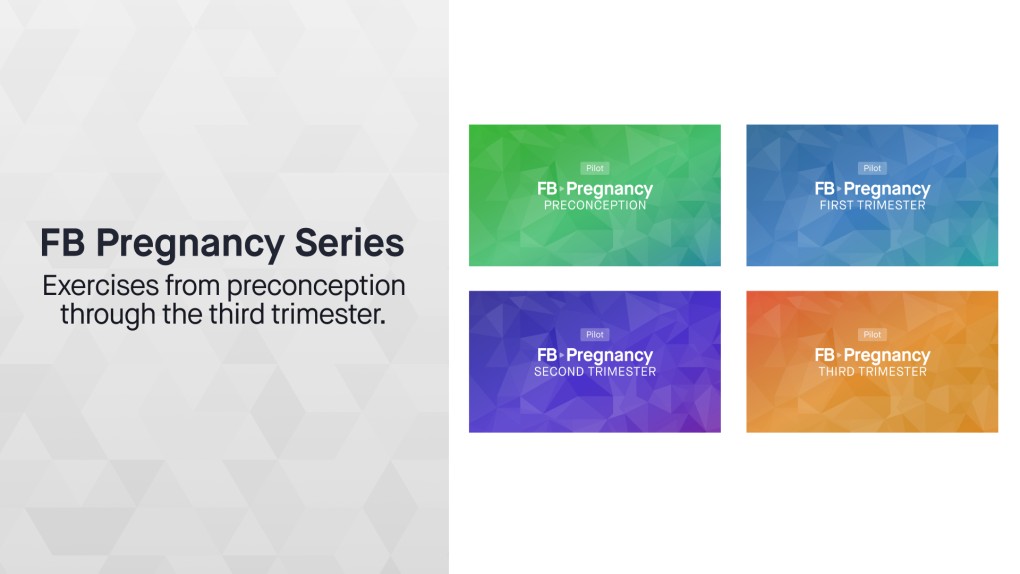 NEW FB Pregnancy Program Series!